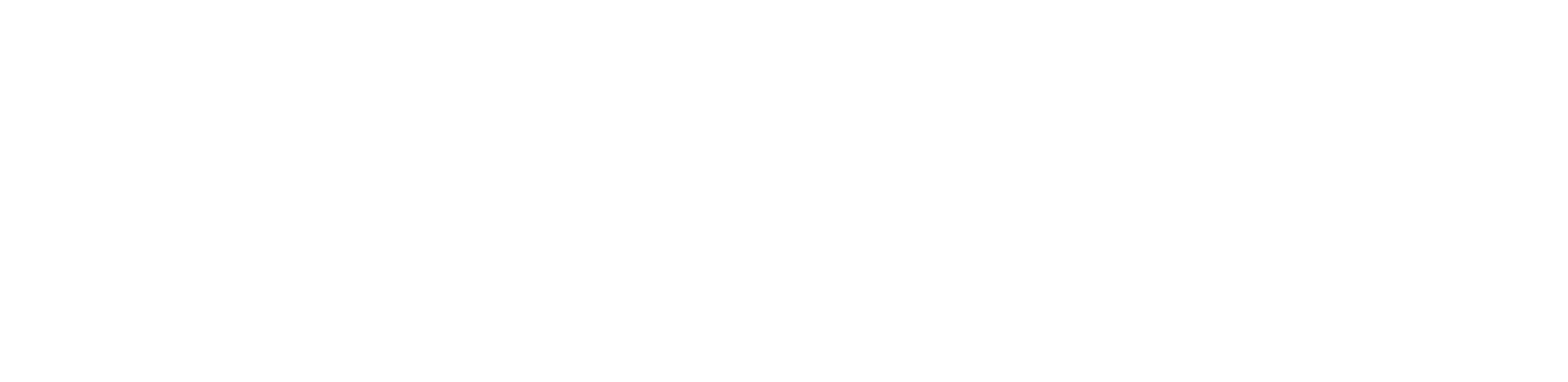 The Psychedelic Institute